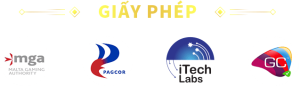 Giấy phép go8